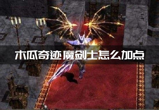 木瓜奇迹魔剑士怎么加点-木瓜奇迹魔剑士加点攻略