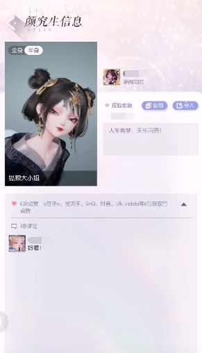 《以闪亮之名》捏脸数据怎么导入