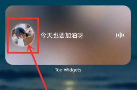 万能小组件topwidgets语音怎么设置 万能小组件语音设置方法介绍