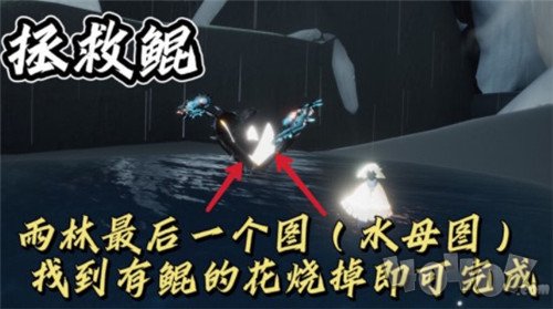 光遇11.11每日任务怎么完成 11.11每日任务流程介绍