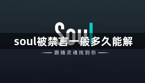 soul被禁言一般多久能解