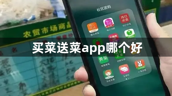 买菜送菜app哪个好