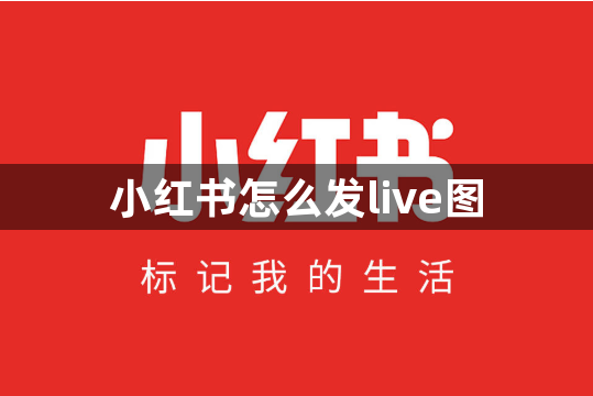 小红书怎么发live图-小红书发live图方法教程