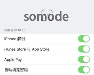 ios14面部识别不出为什么-ios14面部识别不出原因详细介绍 