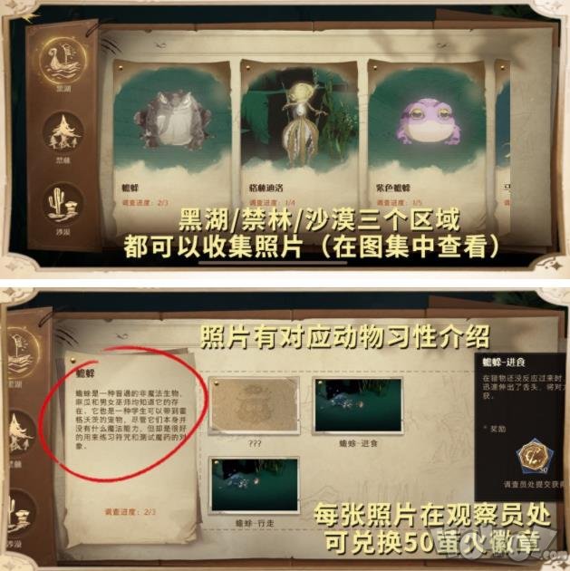 哈利波特魔法觉醒帐篷获得攻略 帐篷使用方法