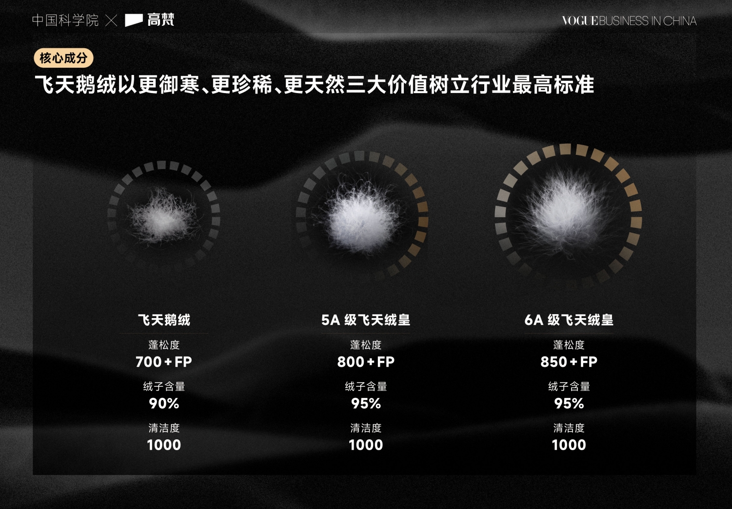 高梵黑金航海新品获央视力挺 三大奢暖科技助攻中国极地科考事业