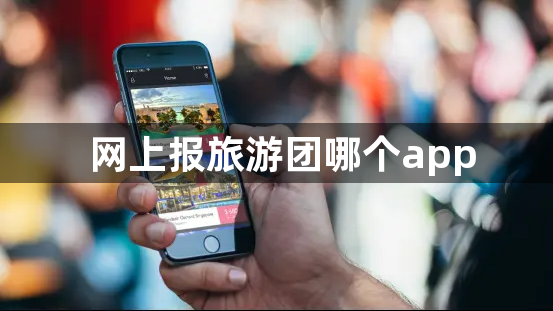 网上报旅游团哪个app