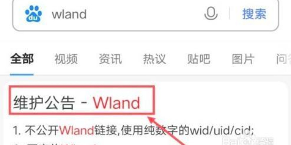 wland/hellowland.club怎么看文