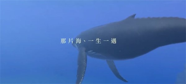 海洋探索游戏《永恒蔚蓝：流光》中文版介绍视频公布