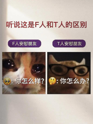 f人和t人怎么区分