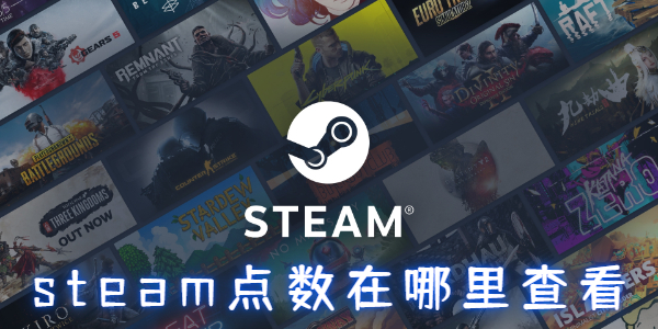 steam点数在哪里查看-steam点数查看位置