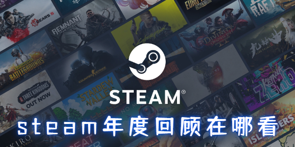 steam年度回顾在哪看