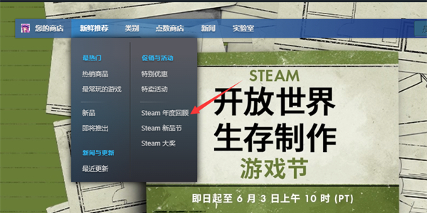 steam年度回顾在哪看