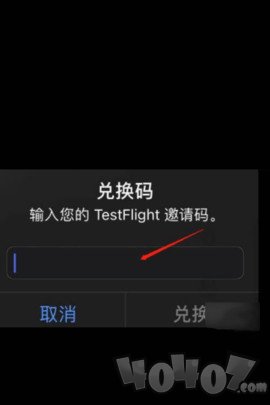 testflight邀请码2024最新大全 testflight邀请码2024大写字母